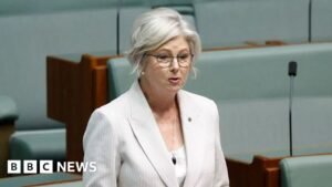 Australian MP Helen Haines’ condition improves after alleged car attack