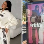 Adidas sues Australian label White Fox over four stripes design