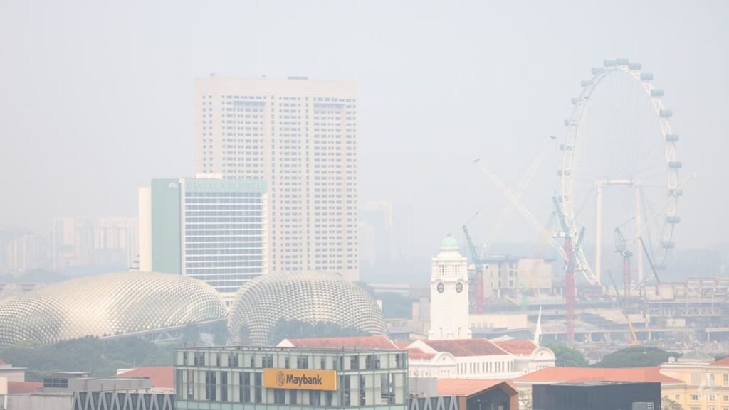 What to know about the 10 Singapore-based companies issued notices over transboundary haze