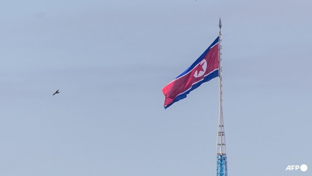 North Korea slams US remarks comparing South to ‘dagger’