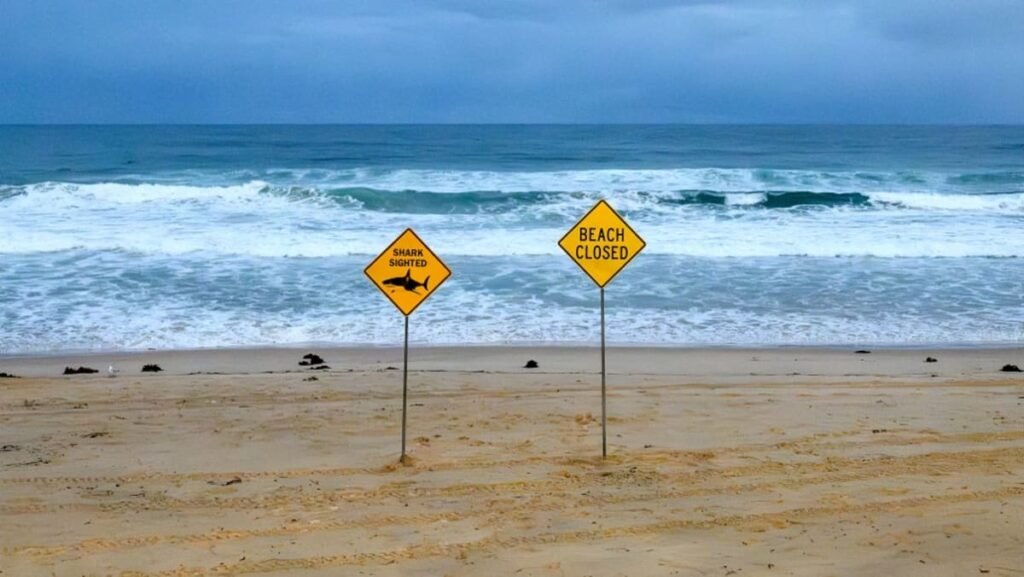 Shark kills diver off Western Australia