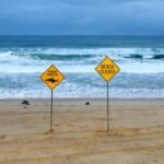 Shark kills diver off Western Australia