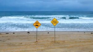 Shark kills diver off Western Australia