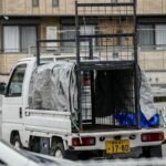 Japan city relieved as bear caught after roaming streets for days