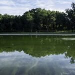 Trump say repairs to begin ‘immediately’ for Washington pool renovation