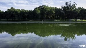 Trump say repairs to begin ‘immediately’ for Washington pool renovation