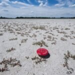 Climate change to blame for intensity of Europe heatwave: Scientists