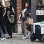 ‘We had to get out of the way’: The backlash over delivery robots