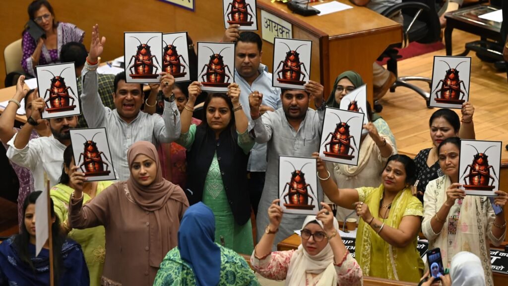 India’s viral ‘Cockroach’ party has millions of followers. What investors need to know