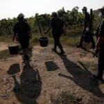 Gangmasters and extreme violence: Four farm workers murdered in Italy