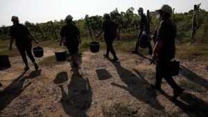 Gangmasters and extreme violence: Four farm workers murdered in Italy