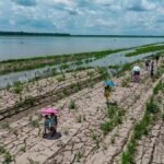 Video. ‘One of the strongest since 1950’: What is El Niño and why does it matter?