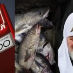 Oil, cod, Kirill: friction points emerge in new EU sanctions on Russia