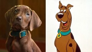 Fans outraged over four-legged star of Scooby-Doo live-action reboot