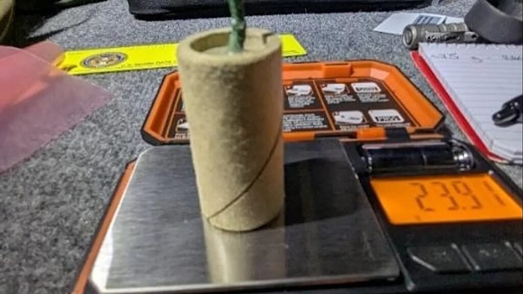 Man charged with bringing bomb in carry-on bag to US airport