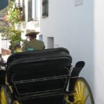 Seven injured after car mounts bar terrace in Malaga