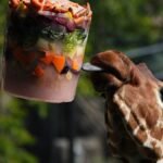 Video. Frozen feasts and cool pools help Rome zoo animals survive heatwave