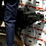 EU warns of rising risks as Europe drug market grows complex
