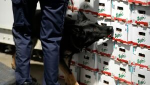 EU warns of rising risks as Europe drug market grows complex