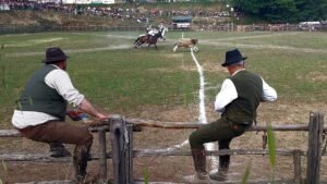 Lazio’s Maremma cowboys between tradition and modernity