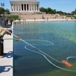 Video. Washington’s Lincoln Memorial pool turns green days after renovation