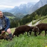 Austria’s seemingly happy farmers: the keys to a rural success story