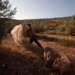 Can EU countries restrict or ban Israeli settlement imports?