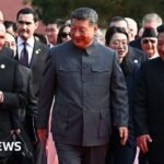 Why is Xi Jinping going to North Korea?