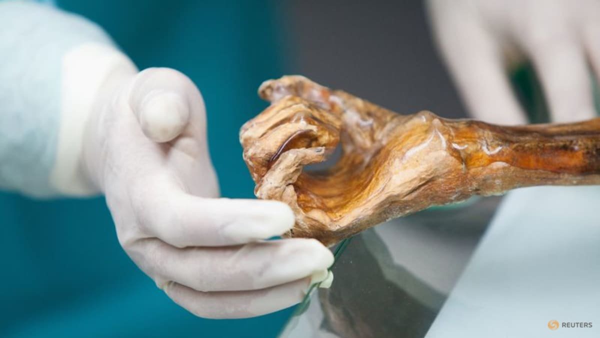 Scientists reveal Ötzi the Iceman’s dynamic microbial world