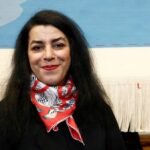 Marjane Satrapi, Iranian-French author of graphic novel Persepolis, dies aged 56