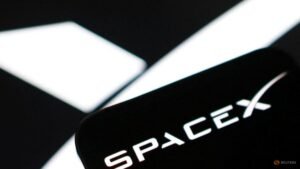 Goldman Sachs expects SpaceX’s AI revenue to surge 100-fold by 2030, FT reports