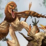 Chinese Velociraptor cousin had a taste for birds
