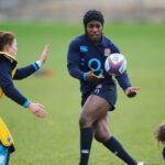 Warwickshire RFU chair Smith quits over comments about player-turned-pundit Alphonsi
