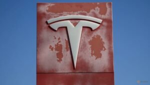 Tesla gets go-ahead to sell self-driving technology in Belgium