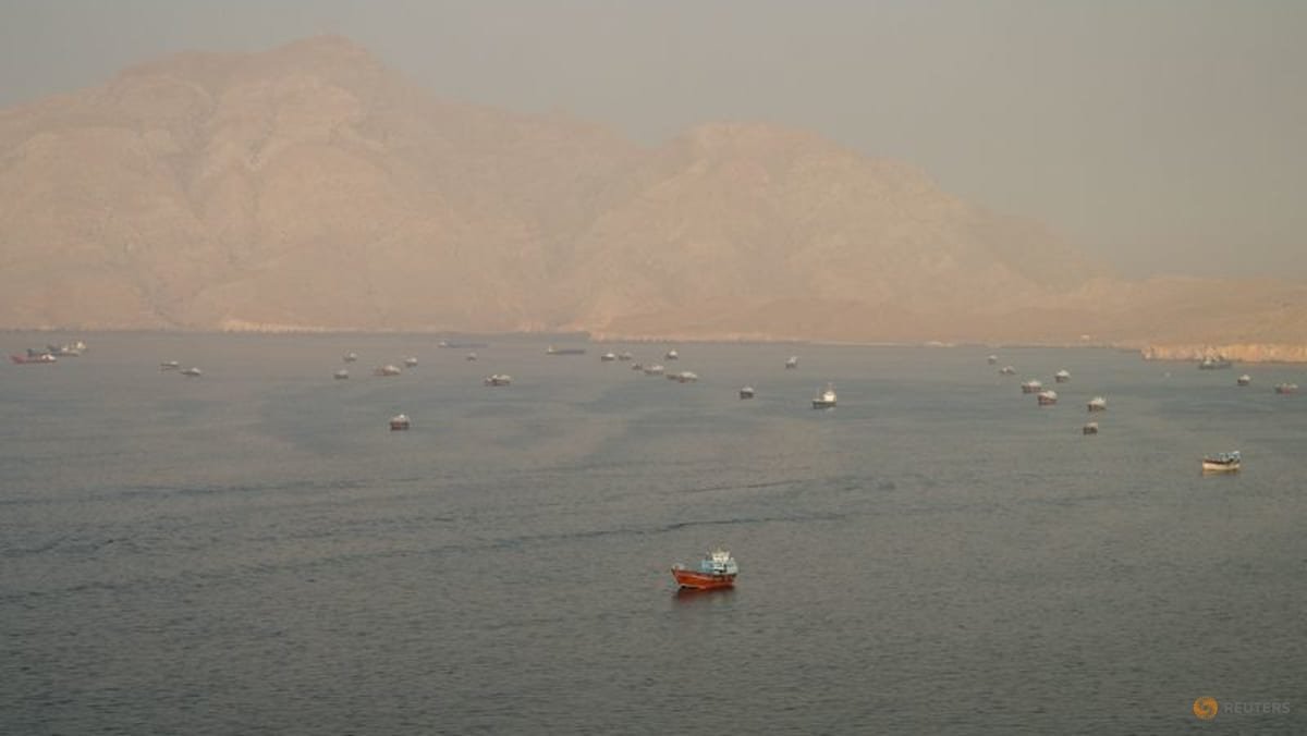Japanese shippers await details on Hormuz reopening, mine clearance