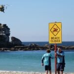 Sydney reopens beach under heavy patrols after shark attack