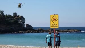 Sydney reopens beach under heavy patrols after shark attack