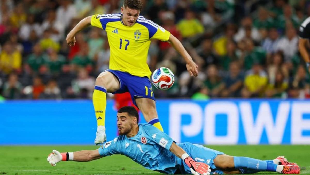 Elite Swedish strike force delivers Tunisian defence a reality check