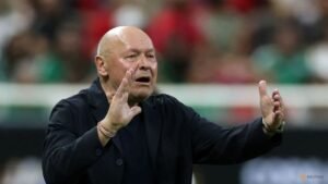 Czechs expect a different South Africa, says coach Koubek