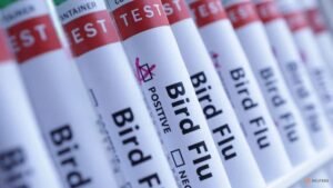 Australia detects first case of contagious H5 bird flu