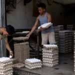 Philippines cuts 2026 growth forecast, citing graft scandal and energy crisis