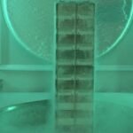 US to create genomic and cellular ‘BioVault’ for endangered species