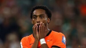 Dutch players suffer online racist abuse after shootout loss to Morocco
