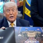 UFC Freedom 250: Donald Trump says Eiffel Tower-like UFC structure may stay at White House