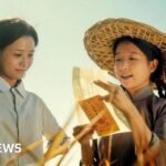 Dear You: Chinese box office hit sparks identity debate in Singapore