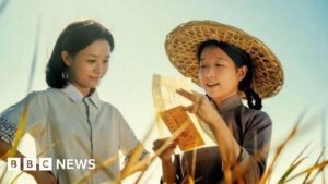 Dear You: Chinese box office hit sparks identity debate in Singapore