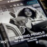 From butterflies to breast milk, Uber’s list of lost items reveals wild backseat discoveries