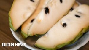 China’s import of custard apples sparks fears in Taiwan