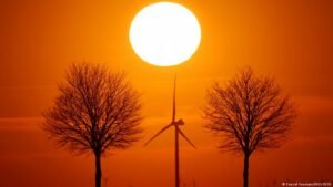 Environment wins of the week