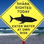 Man killed in shark attack off Western Australia